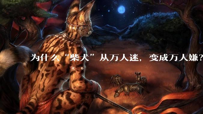 为什么“柴犬”从万人迷，变成万人嫌？