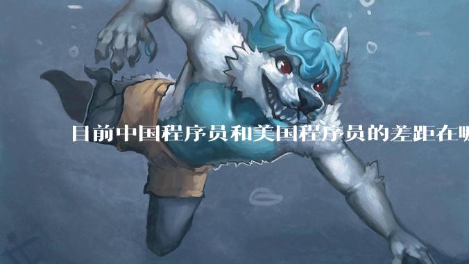 目前中国程序员和美国程序员的差距在哪里？