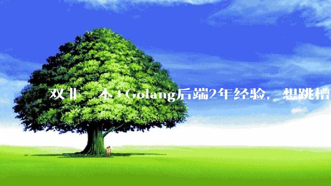 双非一本+Golang后端2年经验，想跳槽但技能不扎实，行业情况也不了解，求助？