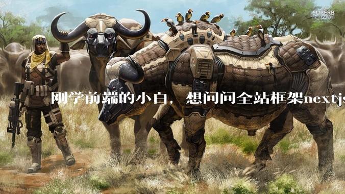 刚学前端的小白，想问问全站框架nextjs+shadcn+prisma为什么在国内不火呢？