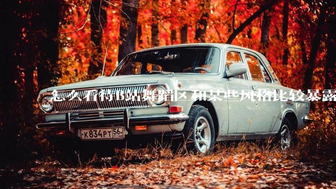 怎么看待B站舞蹈区和某些风格比较暴露的up？