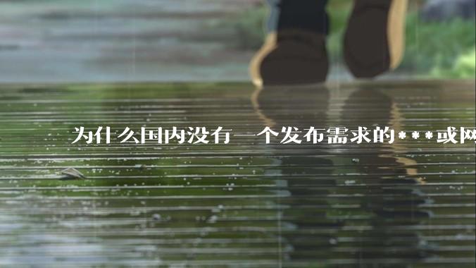 为什么国内没有一个发布需求的***或网站呢？