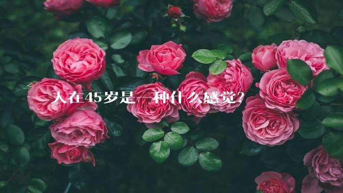 人在45岁是一种什么感觉？
