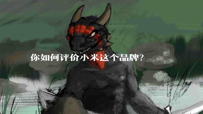 你如何评价小米这个品牌？