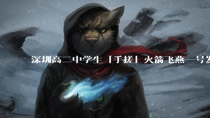 深圳高二中学生「手搓」火箭飞燕一号发射成功，突破 10KM 海拔高度，这属于什么水平？手搓火箭有多难？