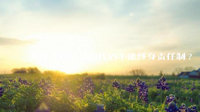为什么程序员的代码不能终身责任制?