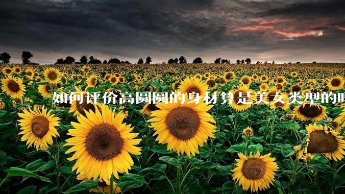 如何评价高圆圆的身材算是美女类型的吗？