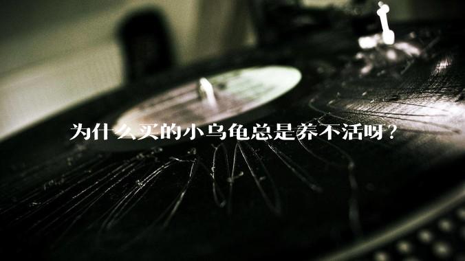 为什么买的小乌龟总是养不活呀？